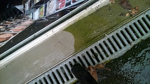 Photo n°20 de C&O Peinture et Déco à Le Neufbourg (Peintre en bâtiment)