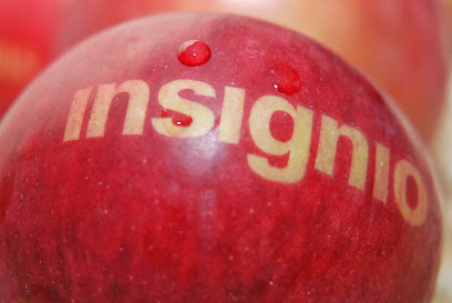 Insignio Creative Grafika Dekor Nyomda Reklámtárgy Stúdió