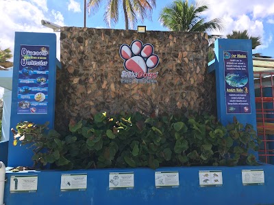 Photos of Scuba Dogs at Escambr&oacute;n Marine Park