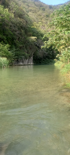 El bado - Visual