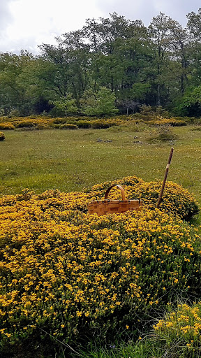 Campos de Las Merindades