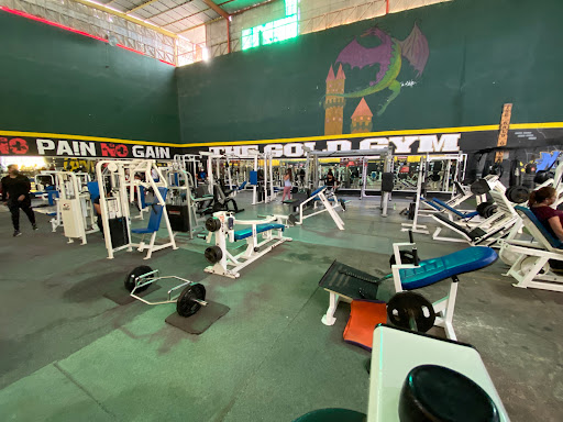 The Gold Gym II Tecomitl - Thumbnail