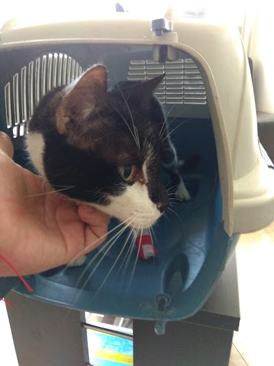Photos of arka Vets