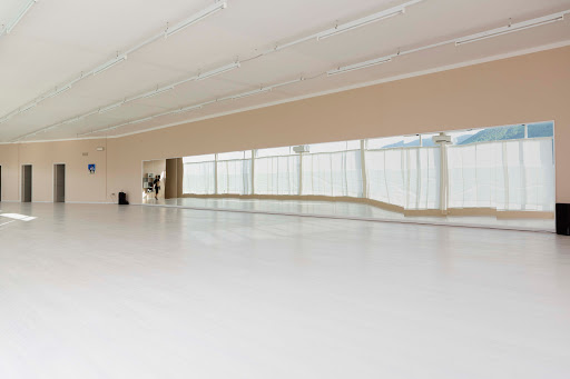 ASD DANCE ACADEMY MN - Thumbnail