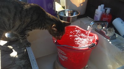 Photos of Alaqua Animal Refuge
