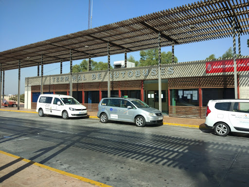 Guardamar - Visual