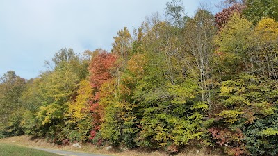 Photos of Julian Price Memorial Park
