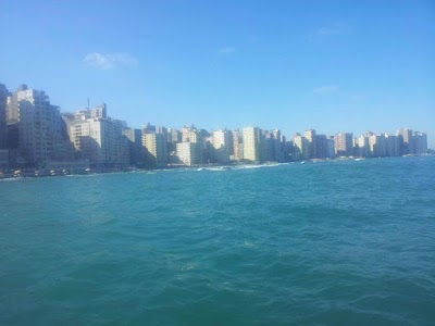 Photos of Nelson's Island