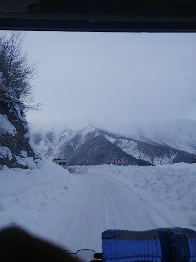 photo of სასტუმრო რესტორანი "დაელი".