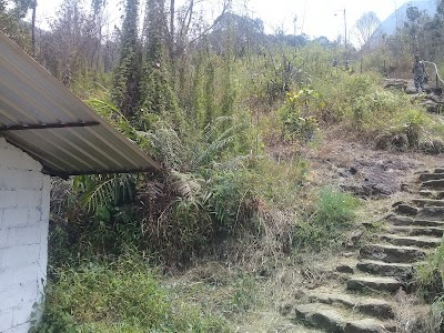 park