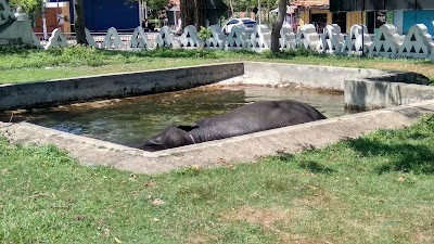 Photos of Uthpalawanna Sri Vishnu Devalaya