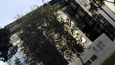 Photos of Federman Bogota clinic