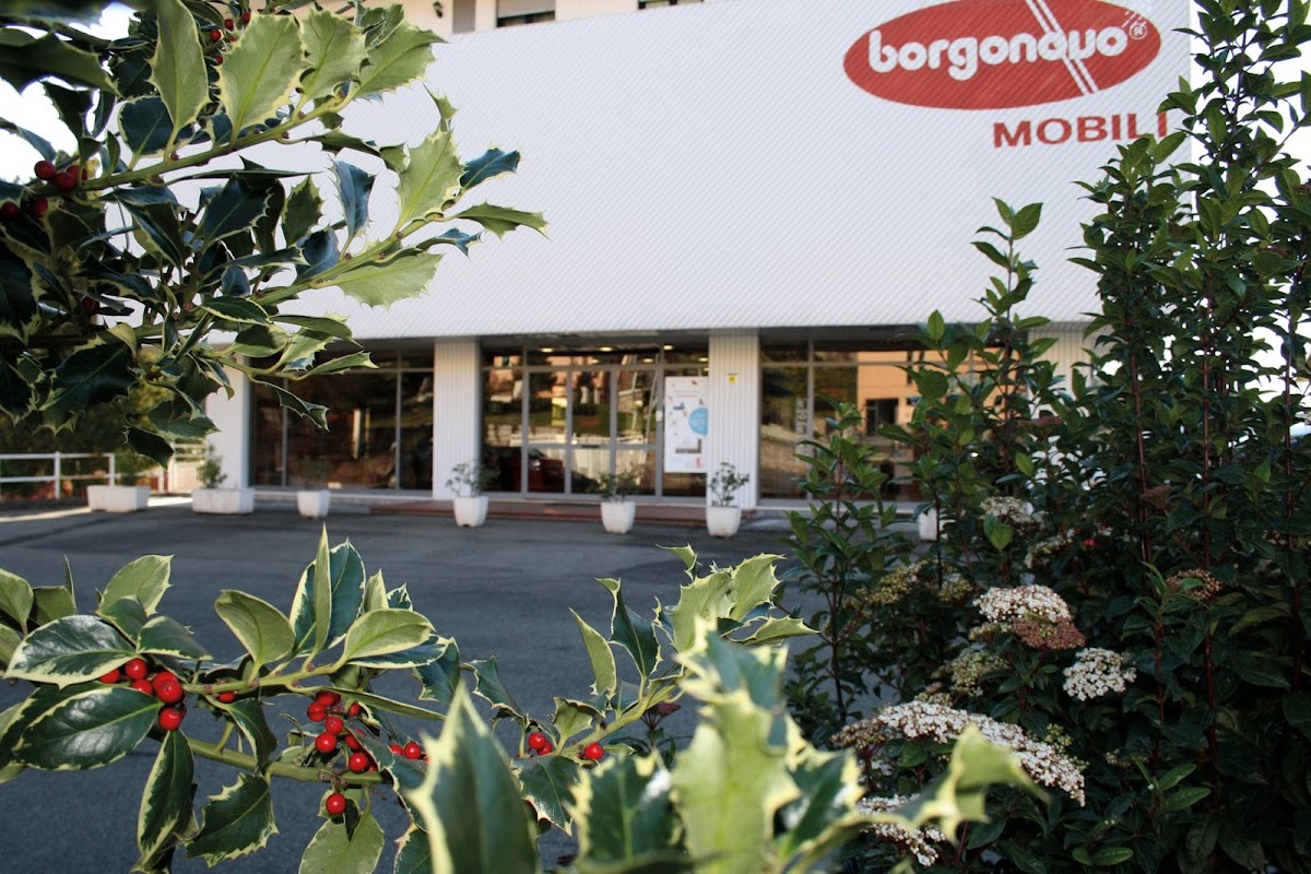 Borgonovo Mobili - Foto
