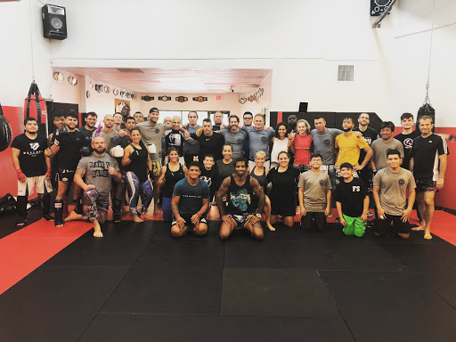 Evolution MMA Naples - Visual