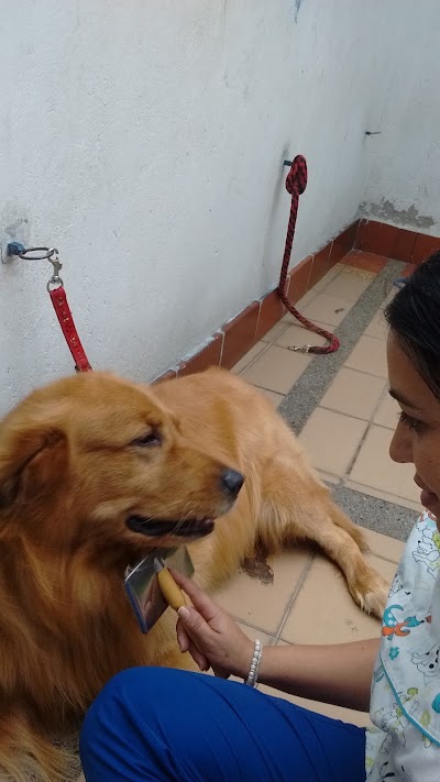 Photos of Clinica Veterinaria Sana vet