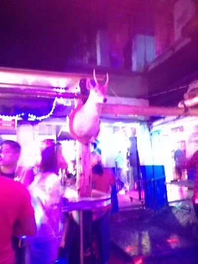 Photos of Bar 13