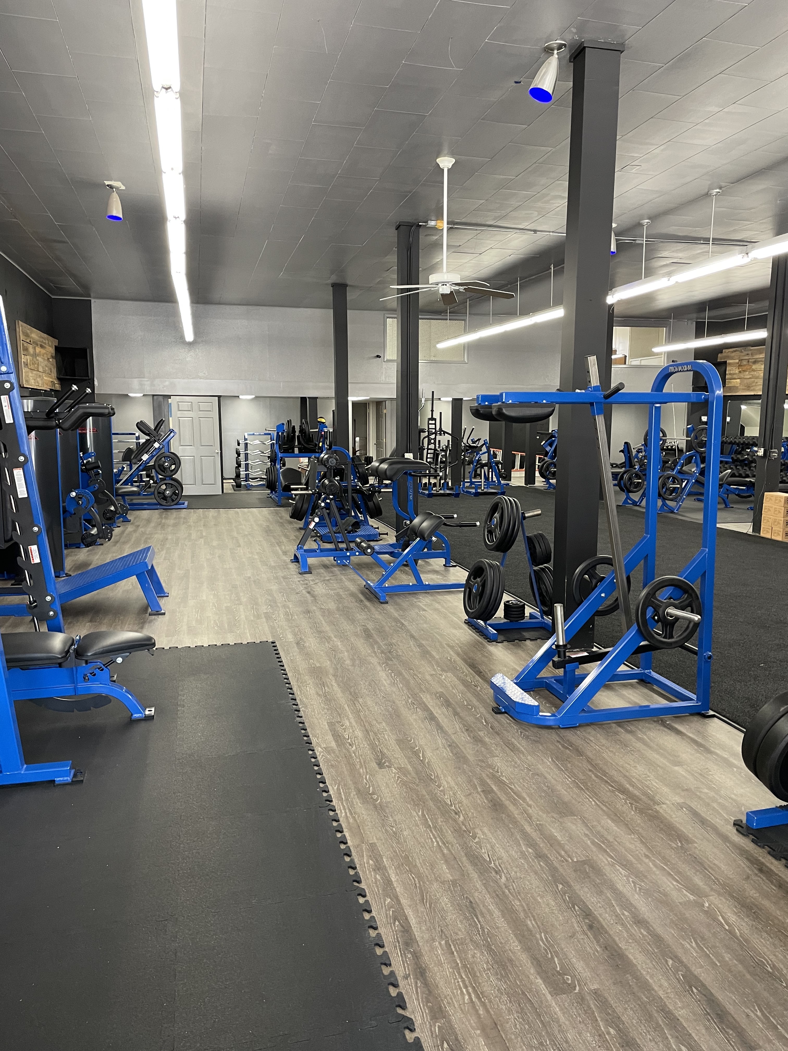 Activus Athletics photo 16