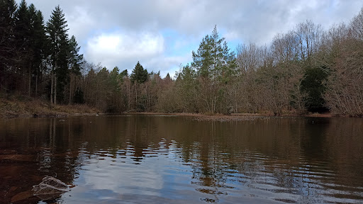 Queens Wood Dymock Carpark - Thumbnail