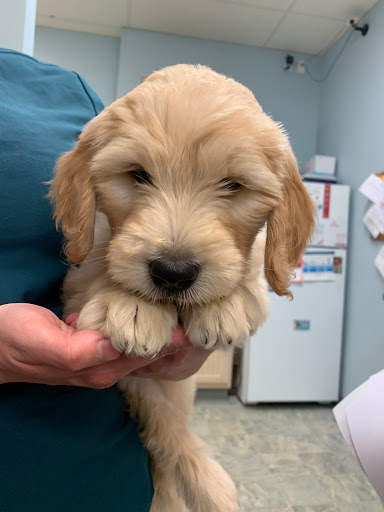 Bayside Animal Hospital | Kemah, TX - Thumbnail