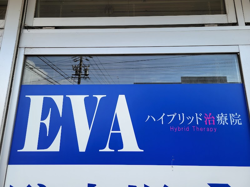 ハイブリッド整体院EVA