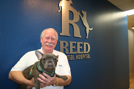 Reed Animal Hospital Saratoga clinic photo