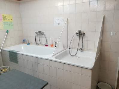 Bild: Fellpflegezentrum Türnich ,Tiersalon Wolters , Dogs Barbershop und Fellpflege Bonnie Lotta Innenansichten