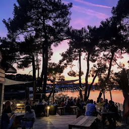 Photo n°6 de MAISON QUINTIN - La Dégustation à Saint-Philibert (Bar-restaurant à huîtres)