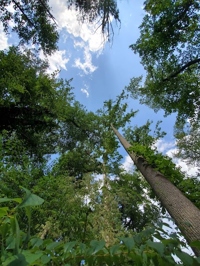 Pine Branch Trail