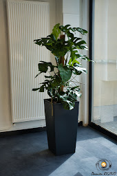 Photo n°24 de RIGAUD DAMIEN SERVICES à Garchizy (Consultant informatique)