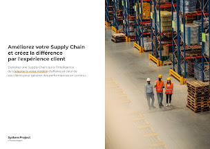 Photo n°2 de System:Project (Fonction:Support) | Cabinet de Conseil pour PME & ETI ️- Lyon à Villeurbanne (Conseil)