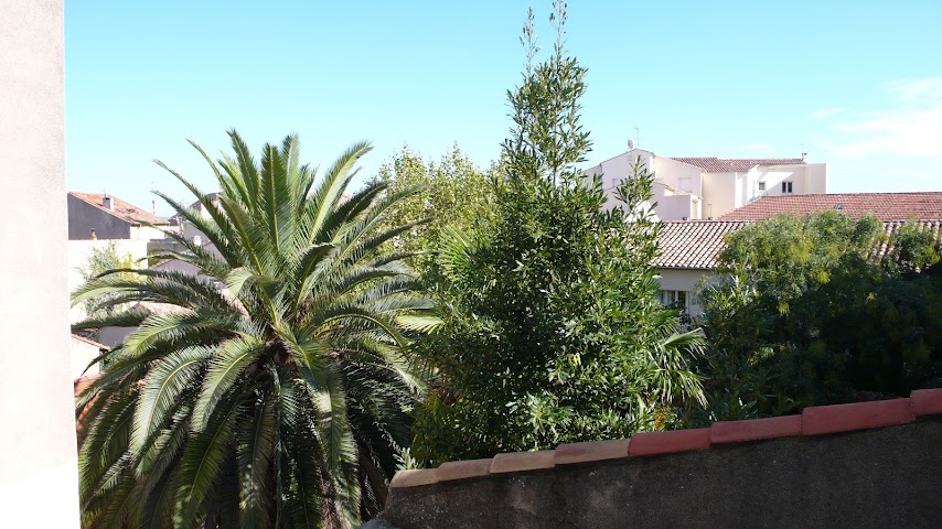 Will's Hotel Narbonne by null