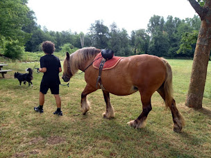 Photo n°2 de Anim'Art-Equithérapie à Beauregard (Centre de rééducation)