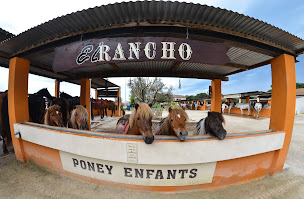 Photo n°7 de EL RANCHO à Le Grau-du-Roi (Service de garde d'animaux)