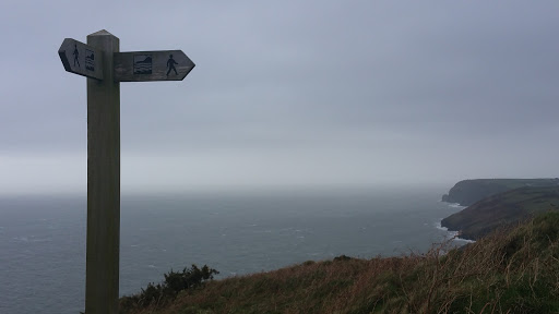 The Dingle - Thumbnail