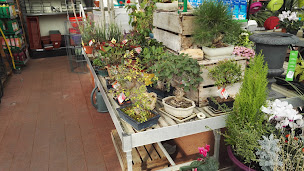 Photo n°23 de Delbard à Crest (Pépinière)