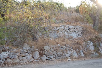 Photos of Centopietre