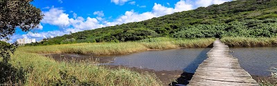 Photos of Umhlanga Lagoon Nature Reserve