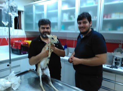 Photos of İBV fatih Hayvan Hastanesi