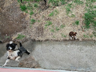 Photos of Hikmet Deveci &Ccedil;iftliği