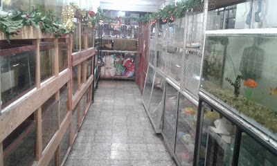 Photos of Fauna Pet Xela