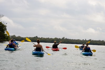 Photos of Paddle Marco