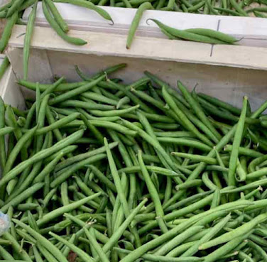 Strega Provisions, LLC by null