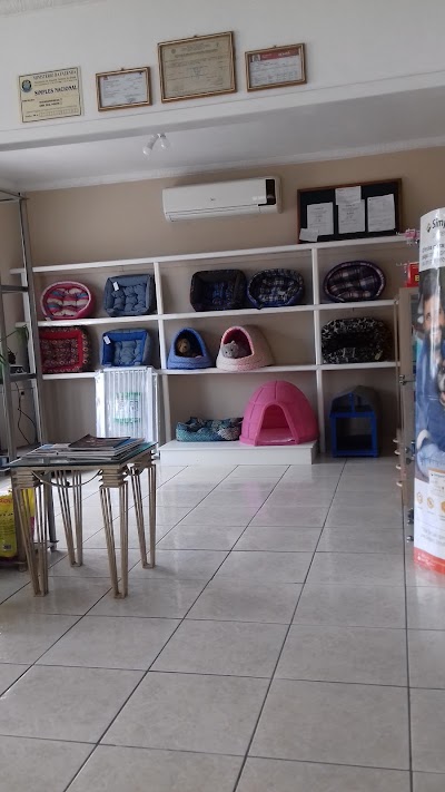 Photos of Veterinary Clinic Animal World