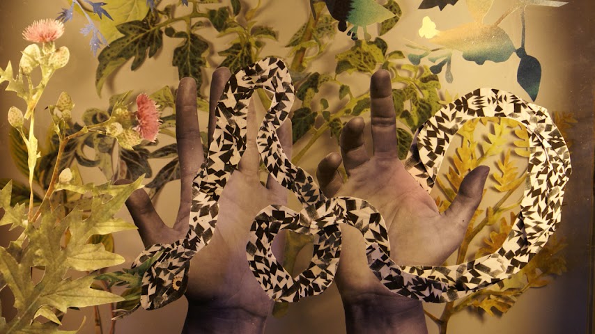 The Bearded Tit by null