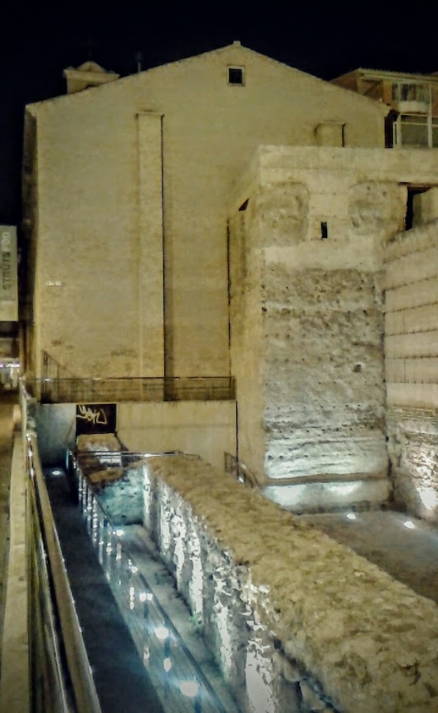 Restos de la Muralla Arabe