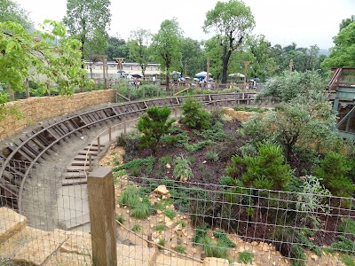 Photos of Grizzly Gulch