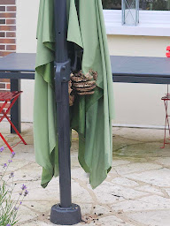 Photo n°19 de Fauviot Yannick à Villeneuve-sur-Yonne (Service d'extermination des nuisibles)