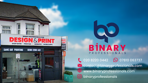 Binary Professionals - Visual