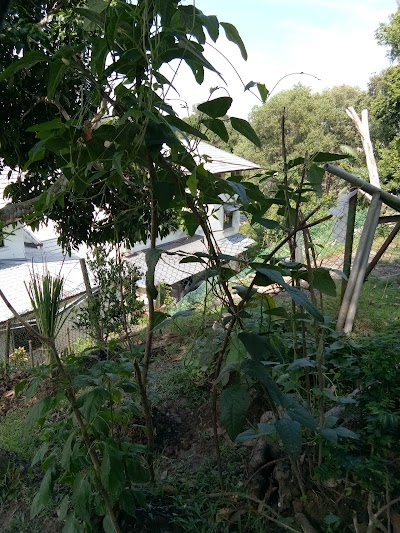Photos of Kampong Tanah Jambu Mosque