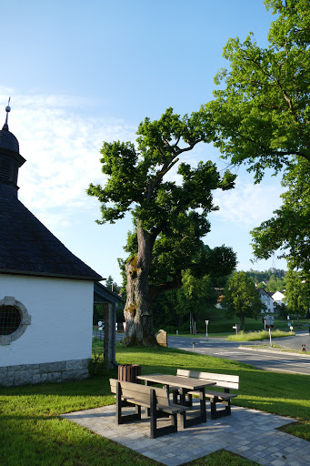 Badangerlinde - Thumbnail